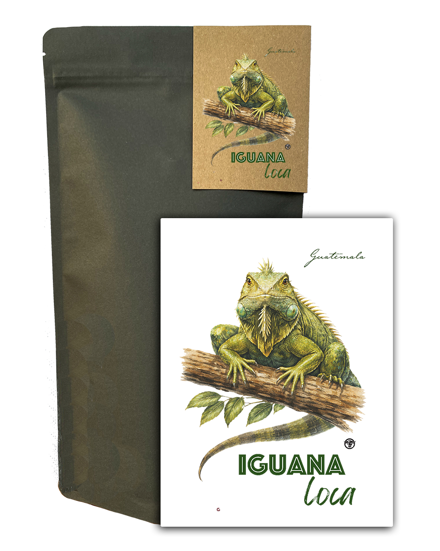 Photo of Iguana Loca Guatemala