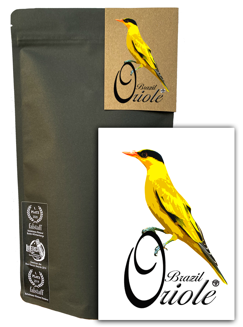 Photo of Oriole | Jahrgang 24/25