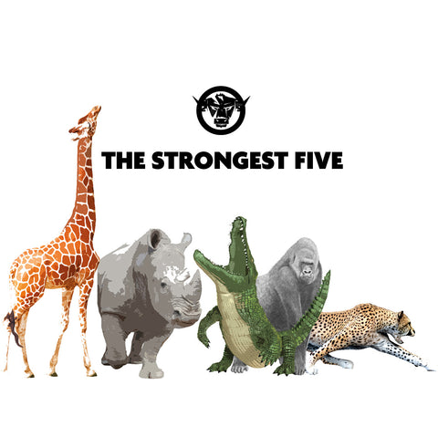 THE STRONGEST FIVE