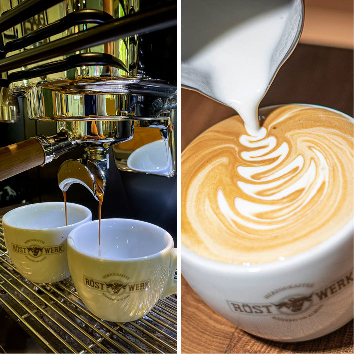 Baristabuddy Kurs - Modul 1 & 2