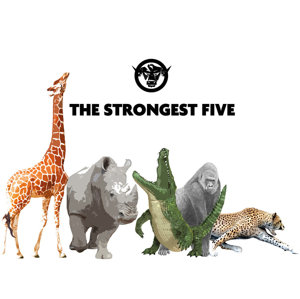 THE STRONGEST FIVE - Vorteilspaket