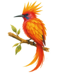 Bio-Mango, getrocknet