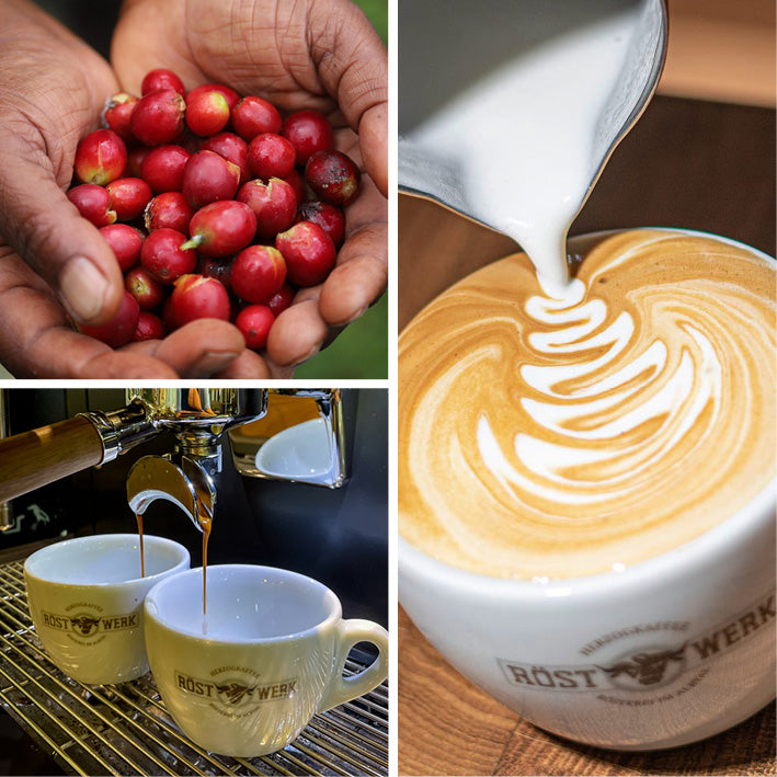 MasterClass Coffee - Modul 1, 2 & 3